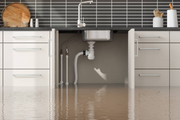 Trusted Water Damage Restoration in Elkton, VA | Fast, Reliable, and Ready to Assist You